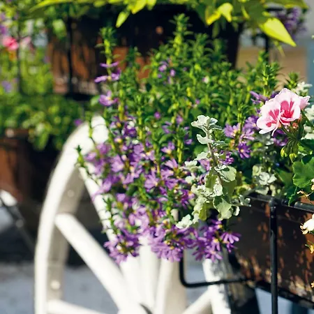 호텔 Und Restaurant Buehlhaus 3*