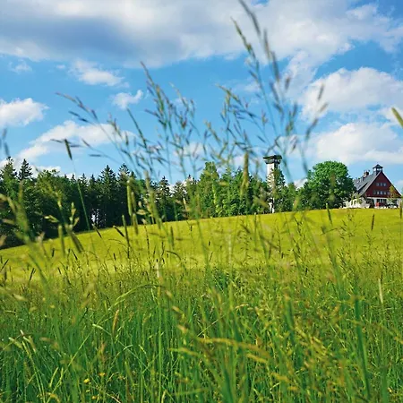 호텔 Und Restaurant Buehlhaus 아이벤슈토크