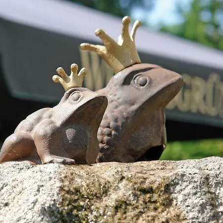 Und Restaurant Buehlhaus 3* 아이벤슈토크